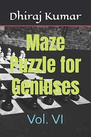Maze Puzzle for Geniuses: Vol. VI