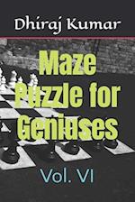 Maze Puzzle for Geniuses: Vol. VI 