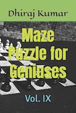Maze Puzzle for Geniuses: Vol. IX 