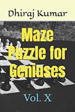 Maze Puzzle for Geniuses: Vol. X 