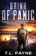 Brink of Panic: A Post-Apocalyptic EMP Survival Thriller 