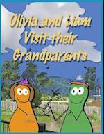 Olivia and Liam Visit their Grandparents: An Oliva and Liam Book 