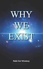 Why We Exist 