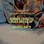 Rabbit Likes to Play Dress Up - Where Am I? 