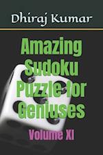 Amazing Sudoku Puzzle for Geniuses: Volume XI 