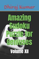 Amazing Sudoku Puzzle for Geniuses: Volume XII 