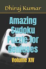 Amazing Sudoku Puzzle for Geniuses: Volume XIV 