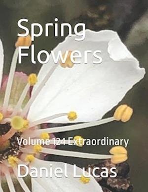 Spring Flowers : Volume 124 Extraordinary