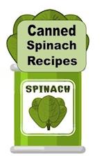 Canned Spinach Recipes 