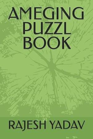 AMEGING PUZZL BOOK