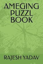 AMEGING PUZZL BOOK 