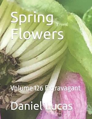 Spring Flowers : Volume 126 Extravagant