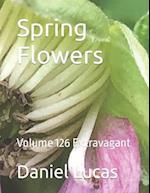 Spring Flowers : Volume 126 Extravagant 