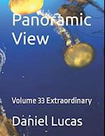 Panoramic View : Volume 33 Extraordinary 