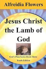 Jesus Christ the Lamb of God: God's Plan Series Book Three 