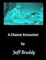 A Chance Encounter 