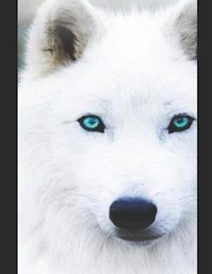 The Rejected White Wolf