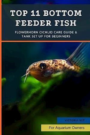 Top 11 Bottom Feeder Fish: Best Tank Cleaners