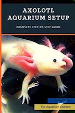 Axolotl Aquarium Setup: Complete Step-by-Step Guide 