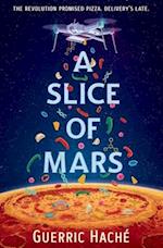 A Slice of Mars 
