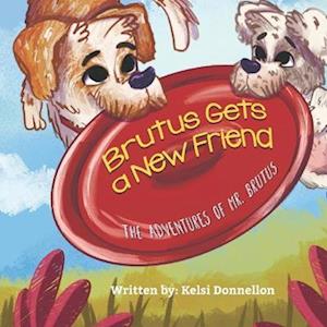 Brutus Gets A Friend: The Adventures of Mr. Brutus