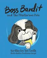 Boss Bandit and the Mysterious Hole 