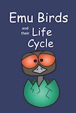 Emu Birds and their Life Cycle 