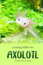 Looking After An Axolotl: Care Instructions for Axolotls 