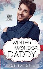 Winter Wonder Daddy: An MM Age Play Romance 