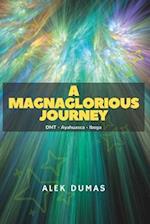 A Magnaglorious Journey: DMT - Ayahuasca - Iboga 