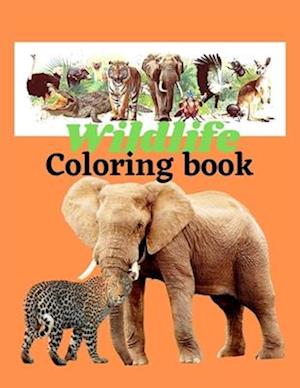 Wildlife coloring book : Color brings beauty to nature