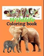 Wildlife coloring book : Color brings beauty to nature 