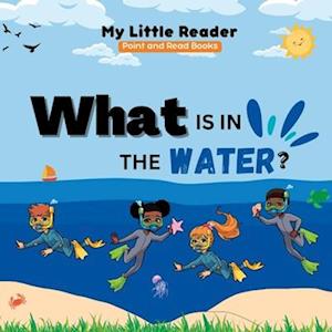 What is in the water?