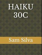 HAIKU 30C 