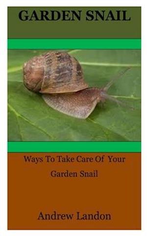 Garden Snail: Ways To Take Care Of Your Garden Snail