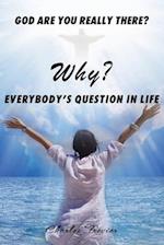 Why? God Are You Really There?: Every body's question in life. 