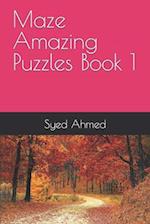 Maze Amazing Puzzles Book 1 