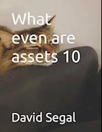 What even are assets 10 