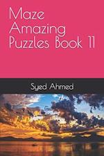 Maze Amazing Puzzles Book 11 