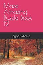 Maze Amazing Puzzle Book 12 