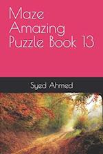 Maze Amazing Puzzle Book 13 