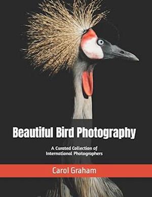 Beautiful Bird Photography: A Curated Collection of International Photographers