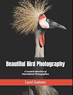 Beautiful Bird Photography: A Curated Collection of International Photographers 