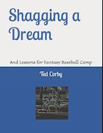 Shagging a Dream: And Lessons for Fantasy Baseball Camp 