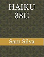 HAIKU 38C 