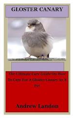 Gloster Canary: The Ultimate Care Guide On How To Care For A Gloster Canary As A Pet 