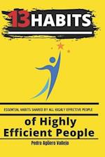 13 Habits of Highly Efficient People: Essential Habits Shared by All Highly Effective People 