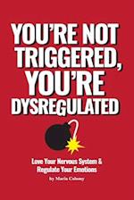 You're not Triggered, You're Dysregulated: Managing the Nervous System After Trauma 