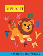 A to Z Picture Alphabet Book: For boys and girls 