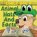 Curly Dog's Animal Hats And Facts 